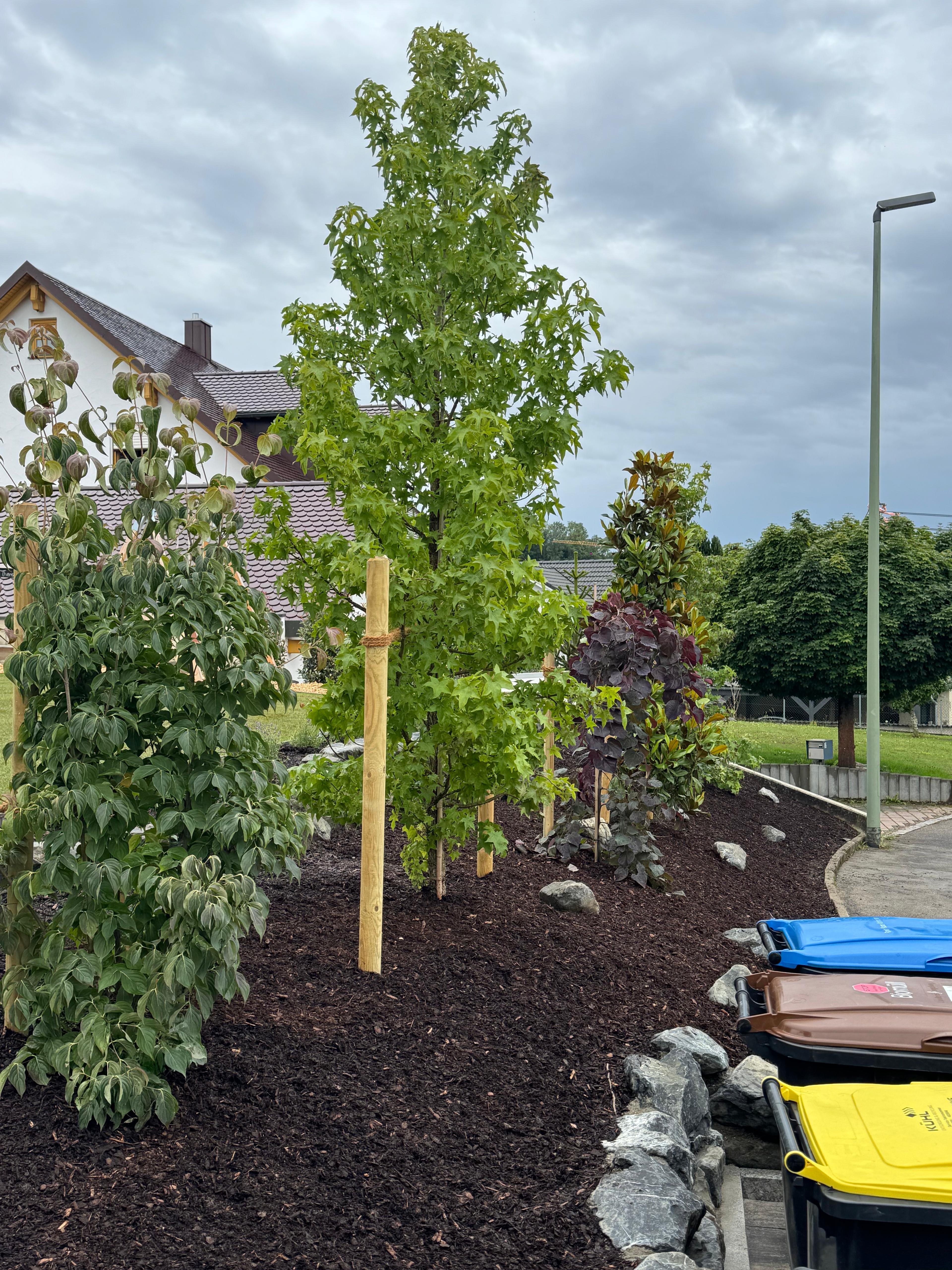Neu gestaltetes Pflanzbeet mit Bäumen, Mulch und Natursteinen